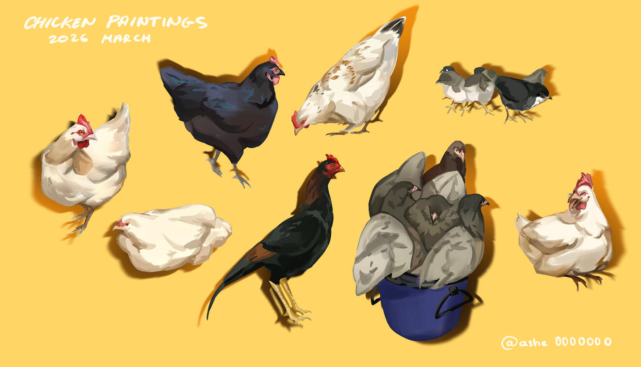 Chicken painting banner